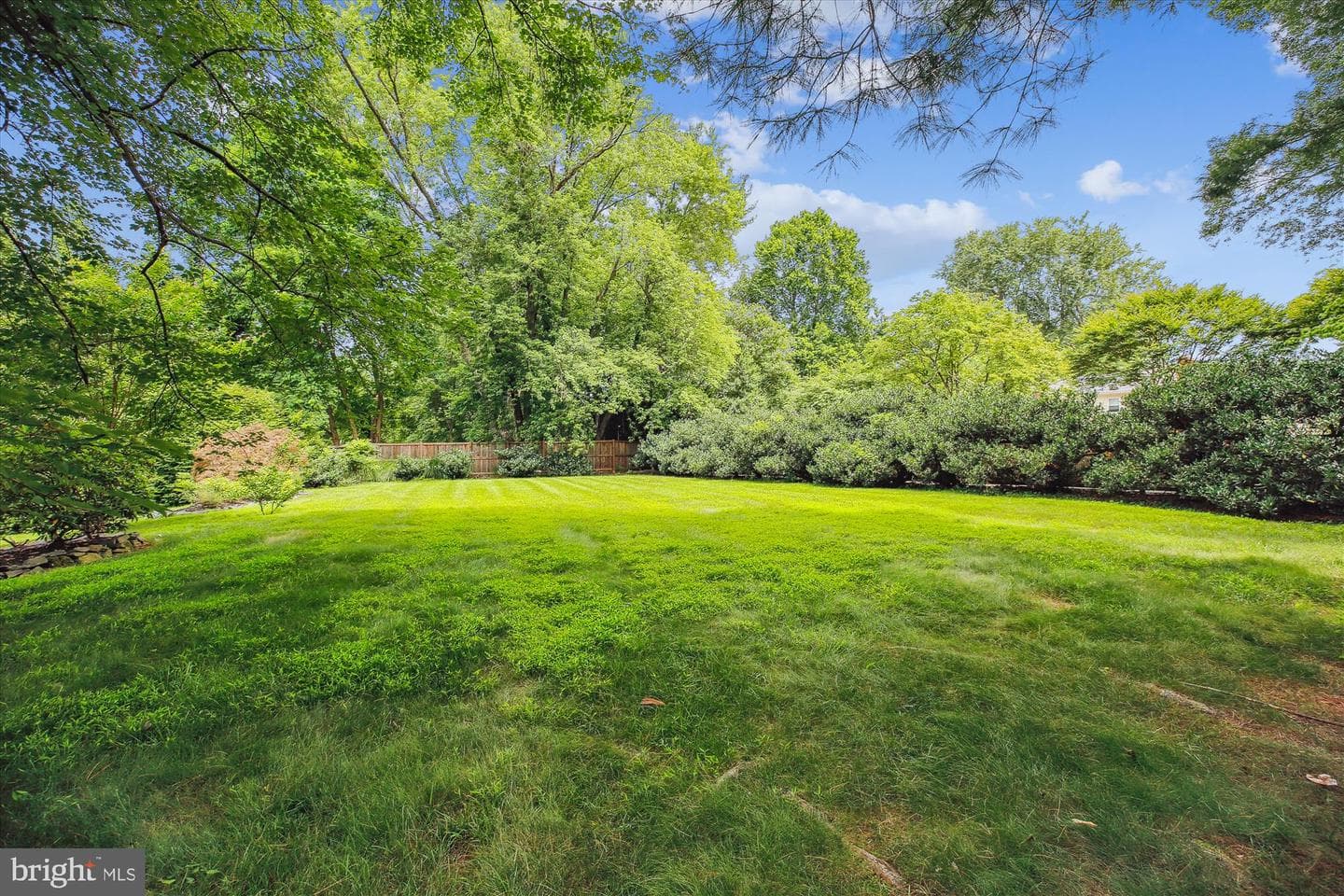 11721 Ambleside Drive photo 47