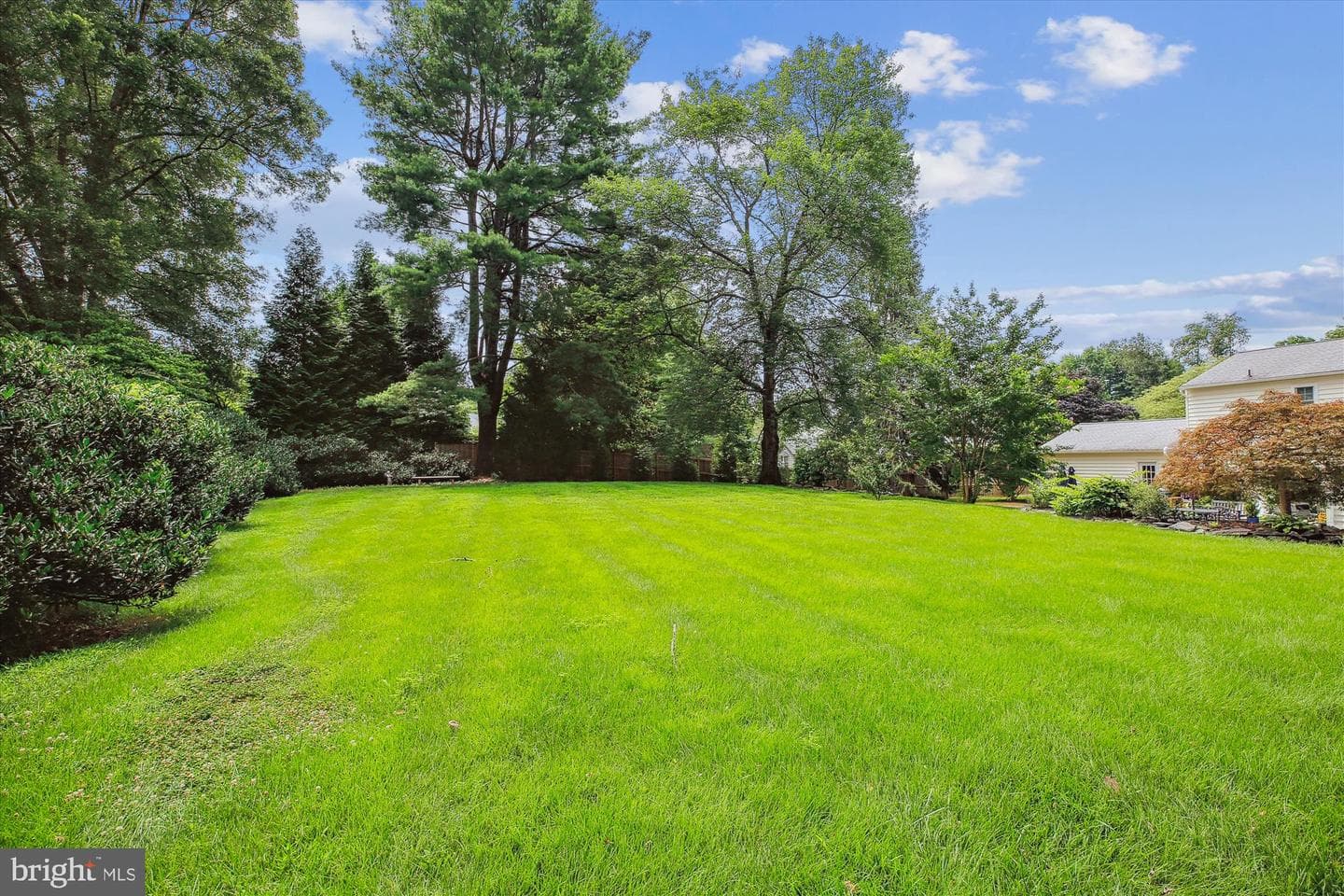 11721 Ambleside Drive photo 48