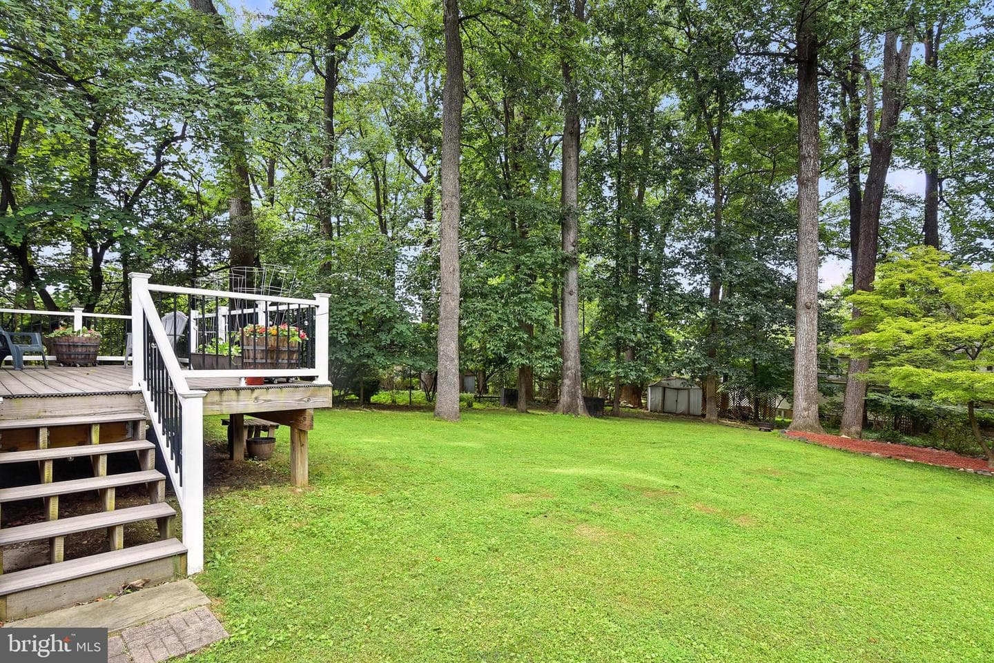3109 Regina Drive photo 38