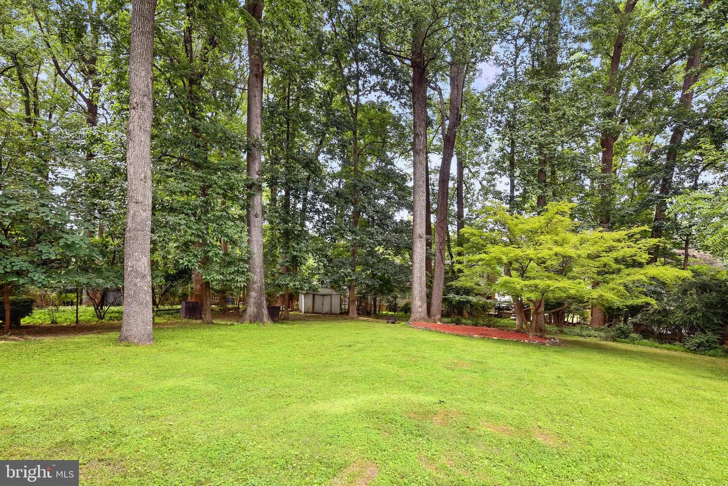 3109 Regina Drive photo 45