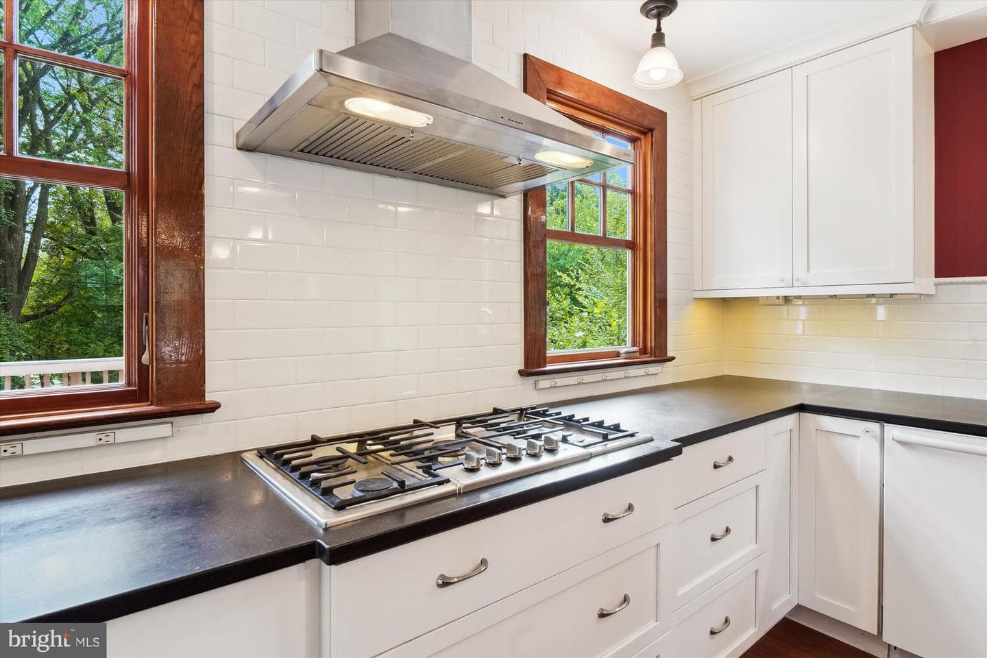 14 Williams Street photo 16