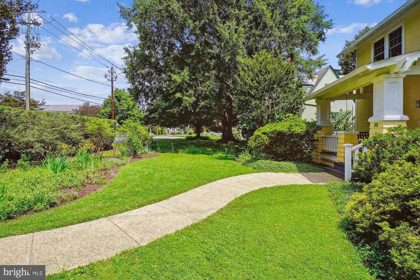 14 Williams Street photo 43