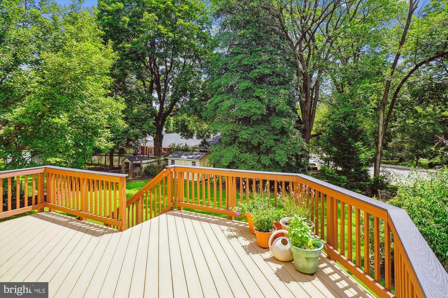 14 Williams Street photo 49