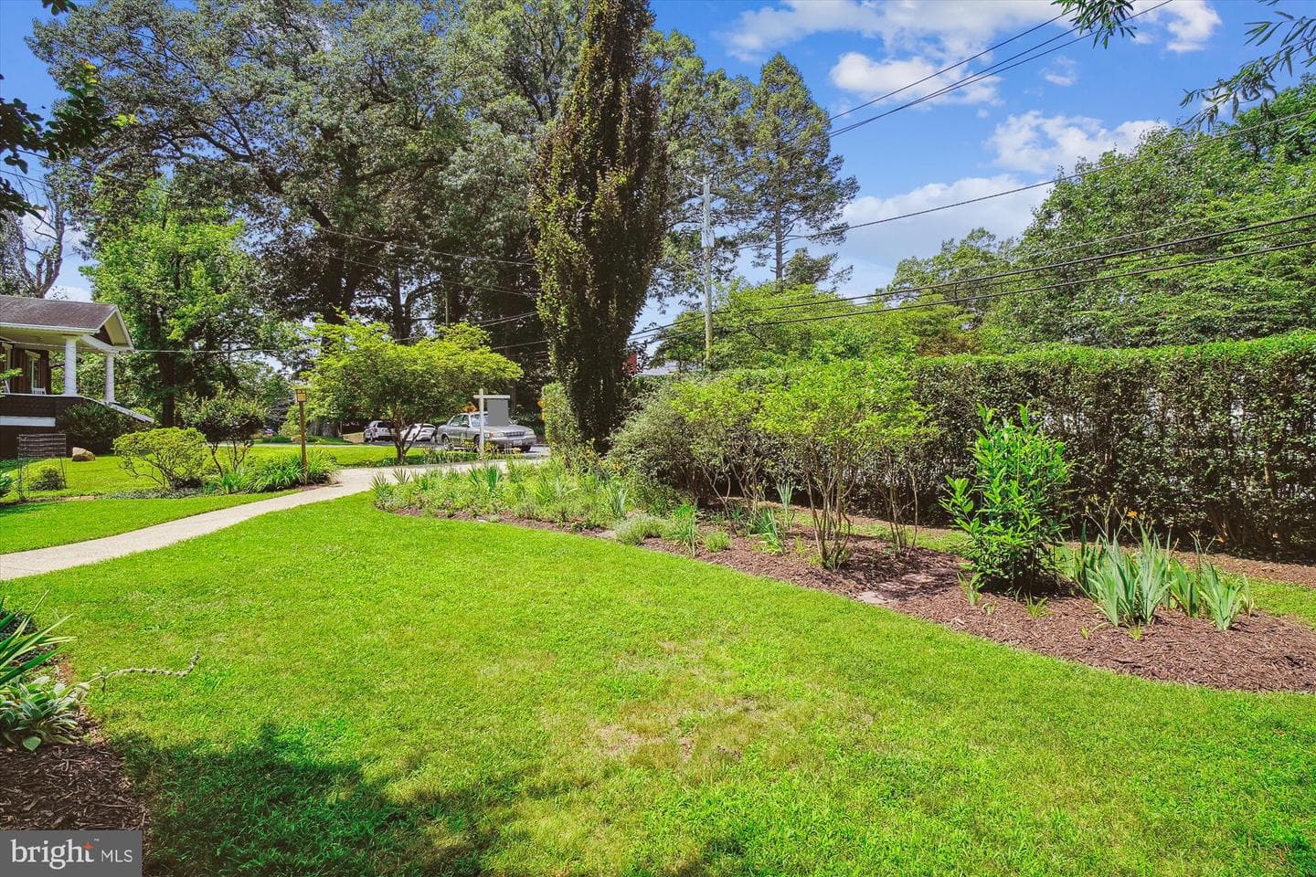 14 Williams Street photo 54