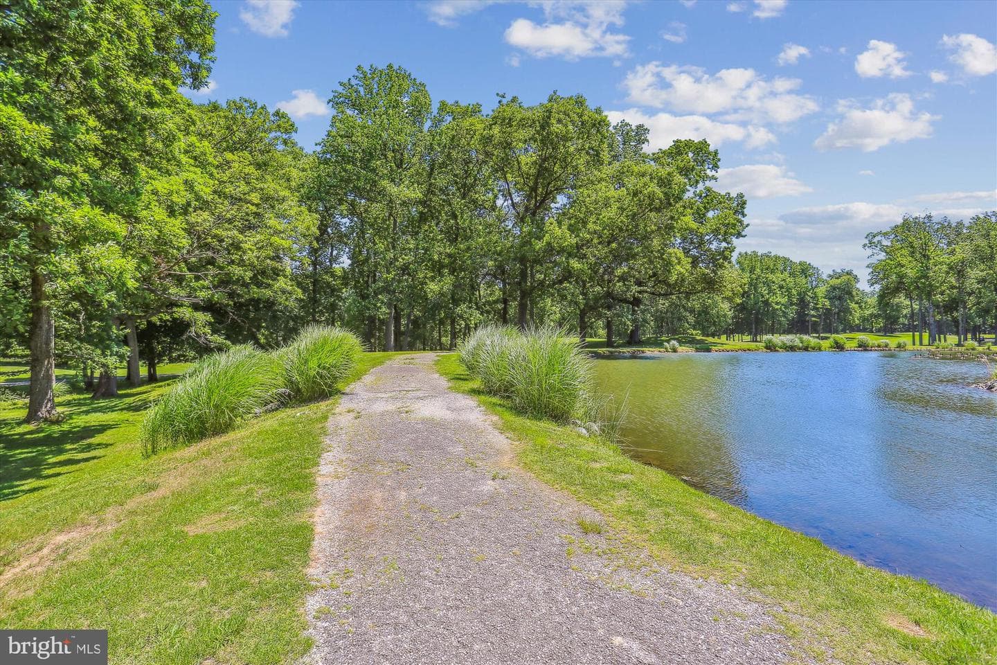 15107 Interlachen Drive #2-220 photo 41