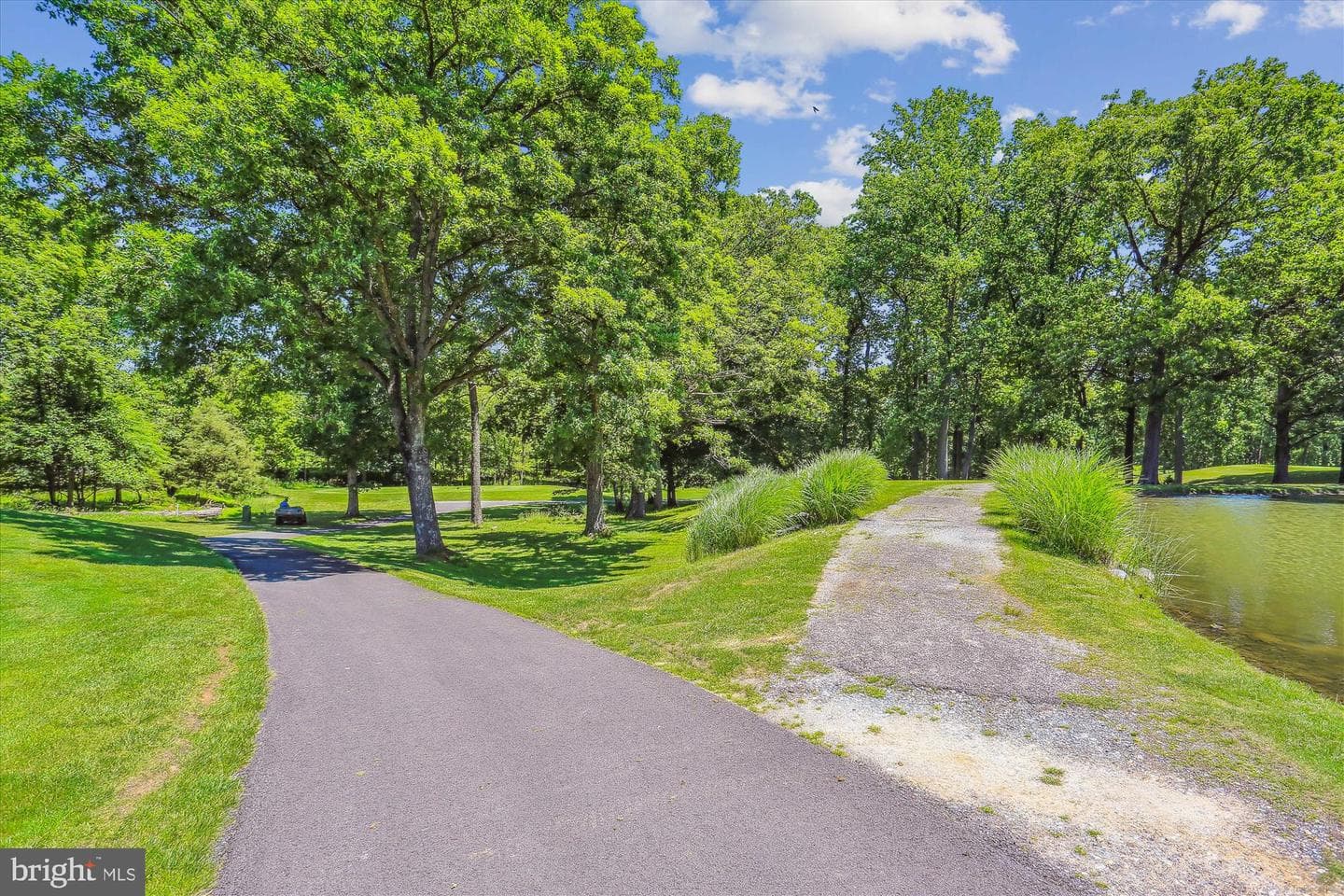 15107 Interlachen Drive #2-220 photo 46