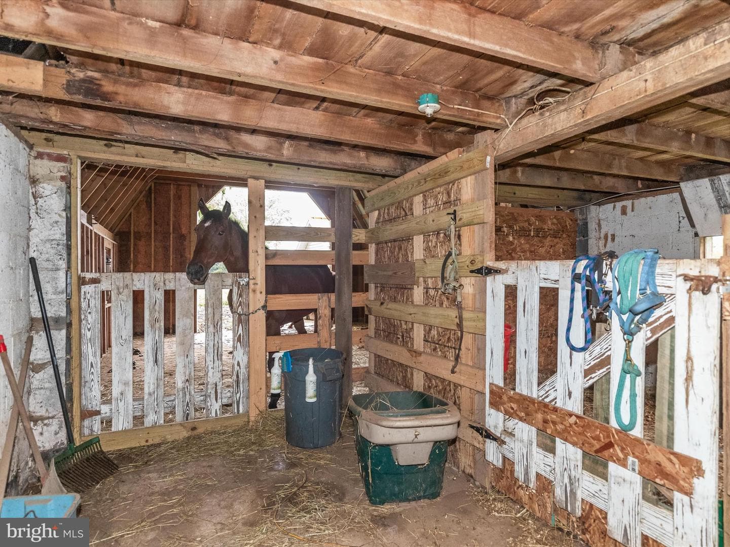 15800 Kruhm Road photo 39
