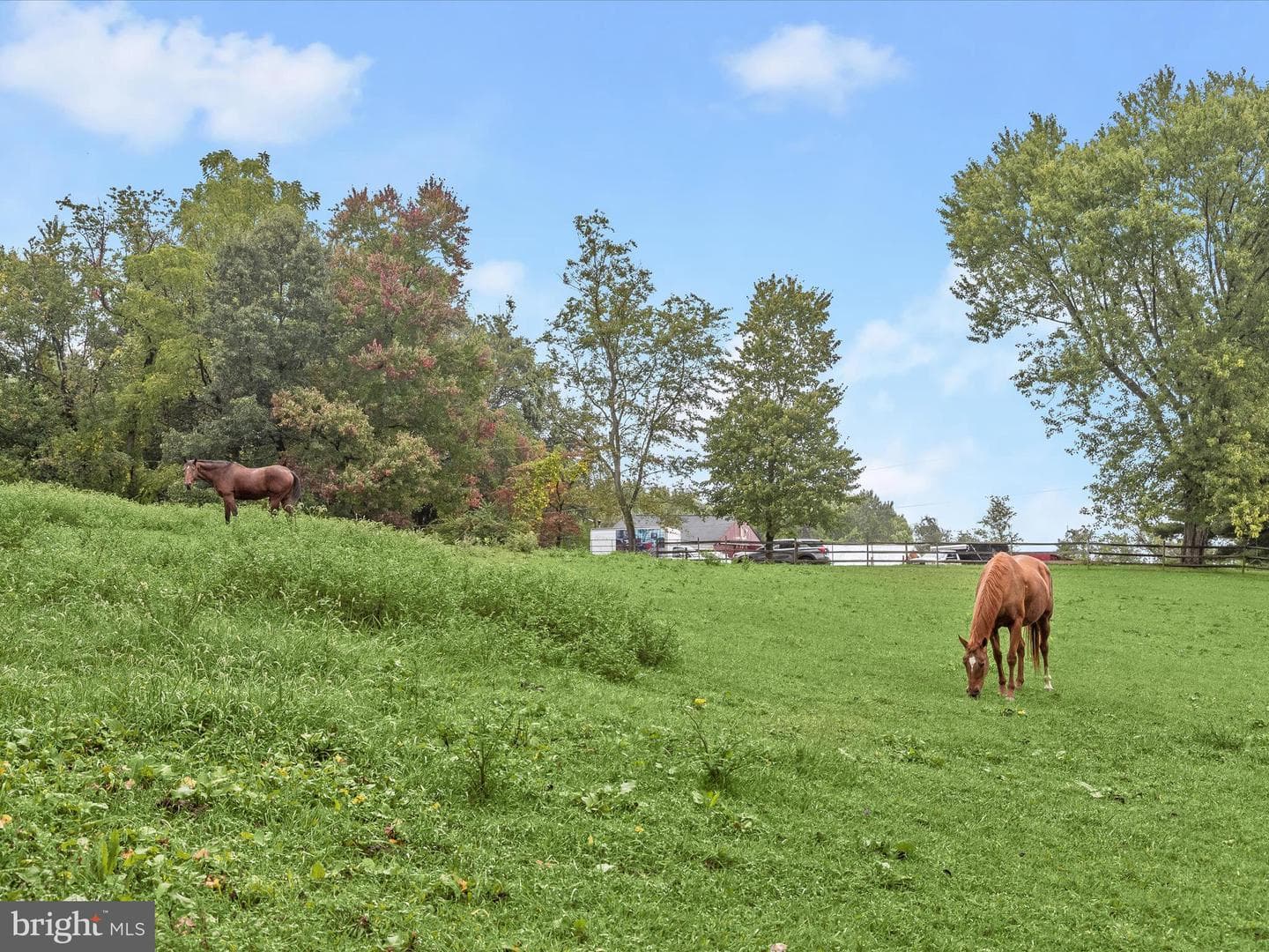 15800 Kruhm Road photo 54
