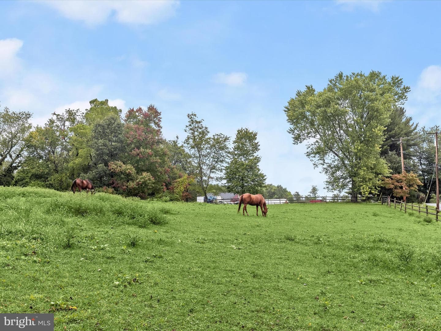 15800 Kruhm Road photo 55