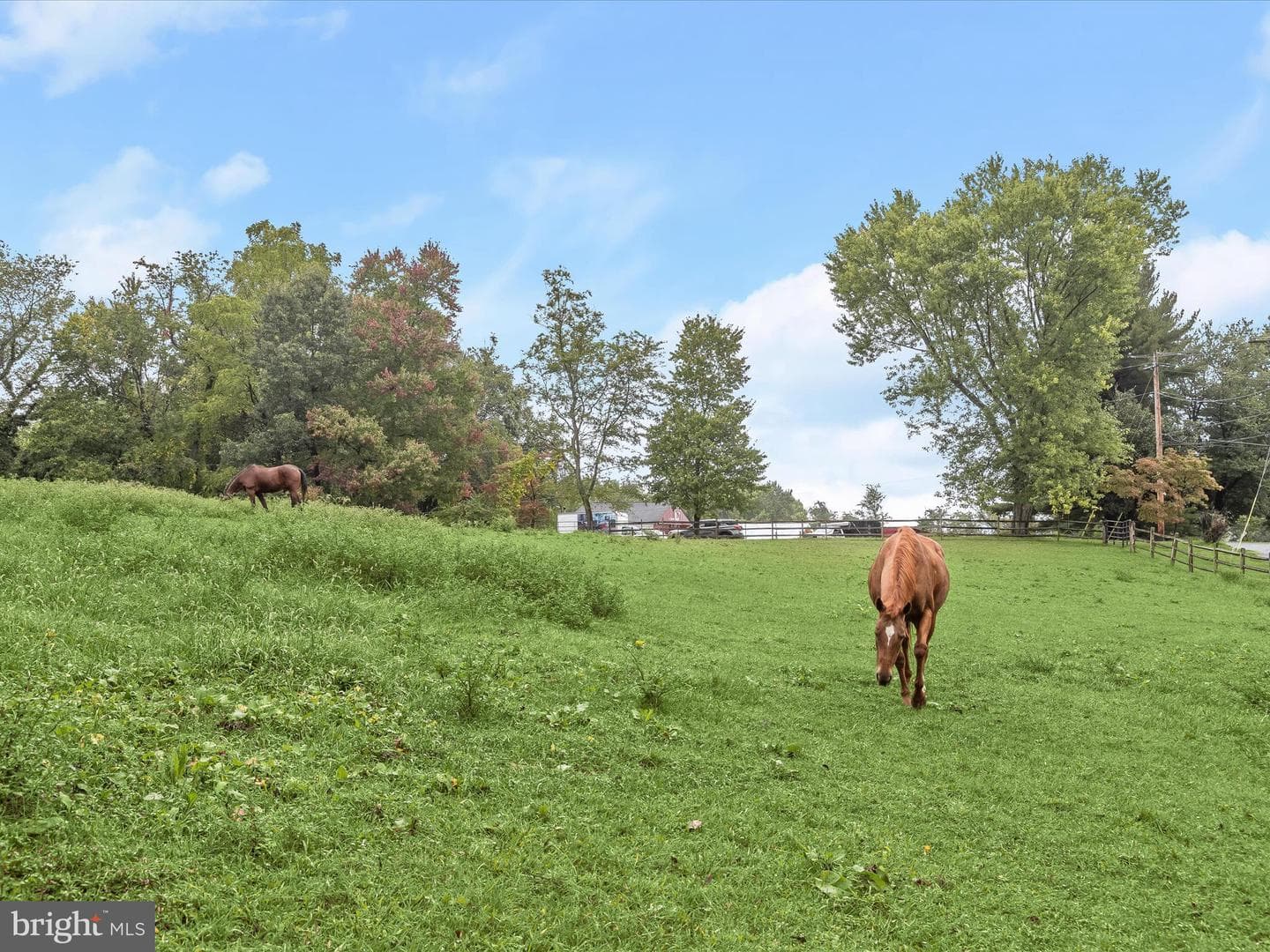 15800 Kruhm Road photo 56
