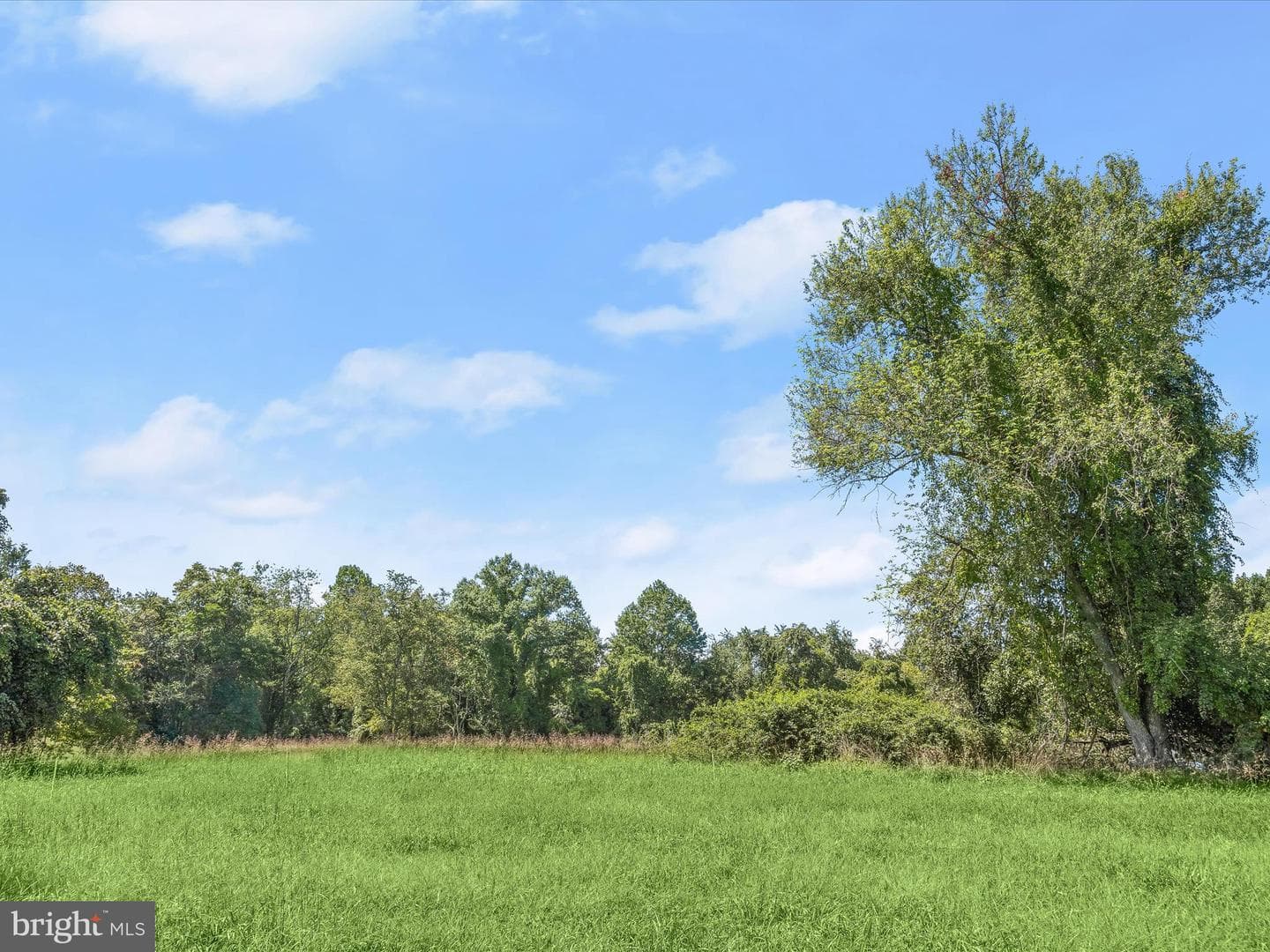 15800 Kruhm Road photo 85