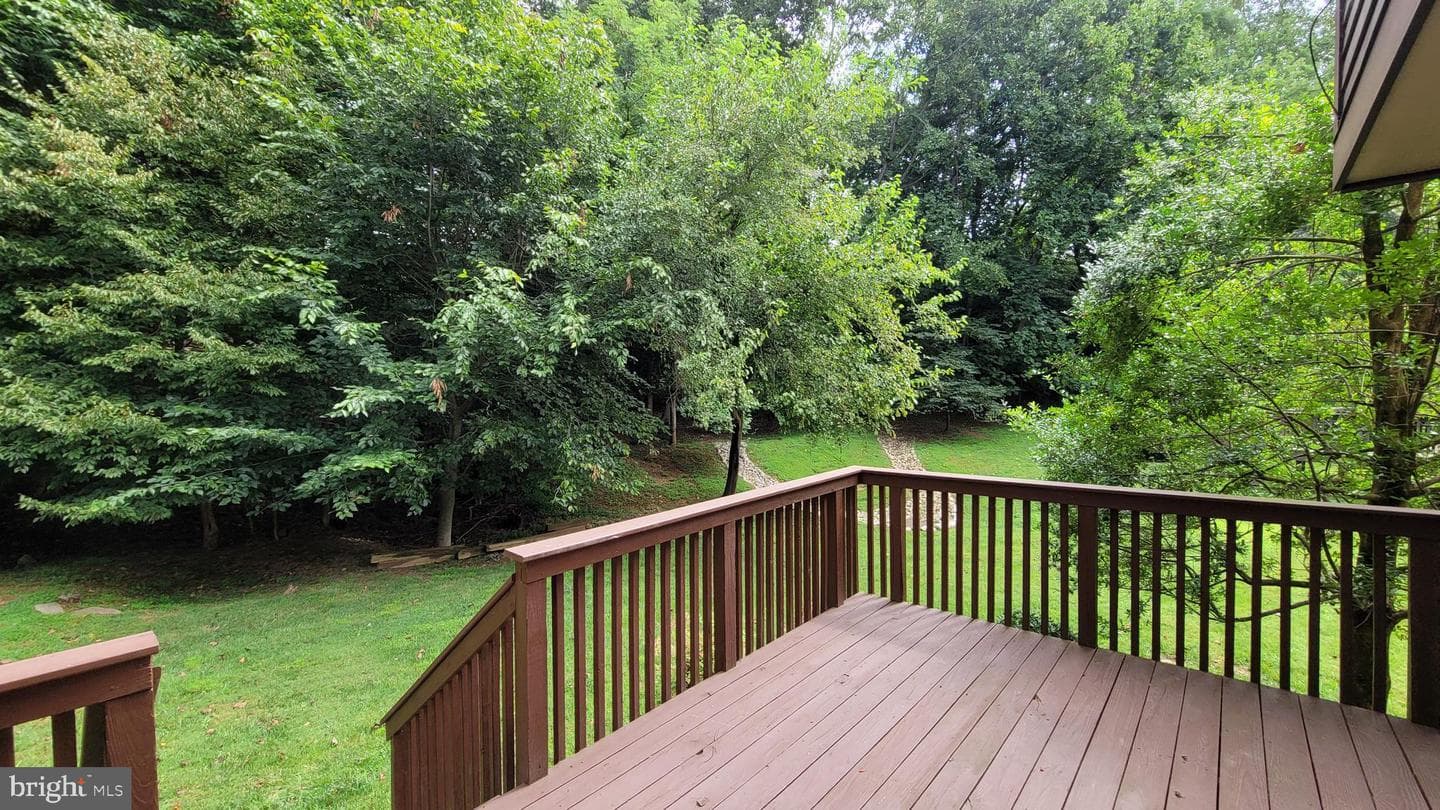 10901 Whiterim Drive photo 45