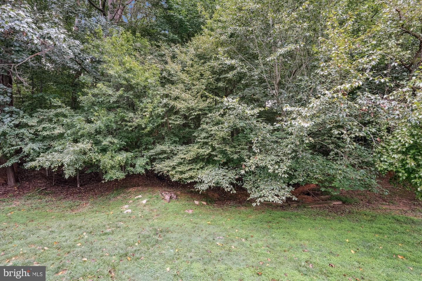 10901 Whiterim Drive photo 46
