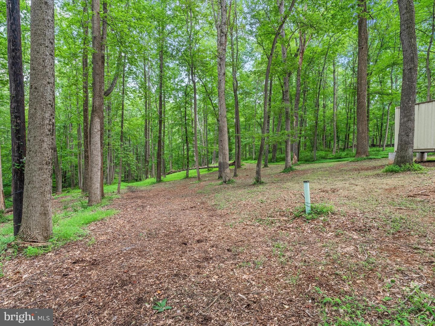 17101 Overhill Road photo 56