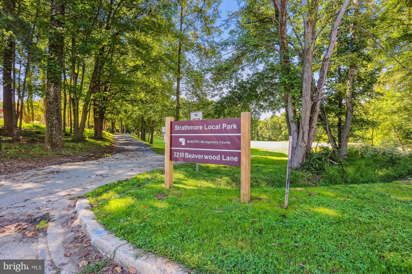 1105 Sweetbay Place photo 106
