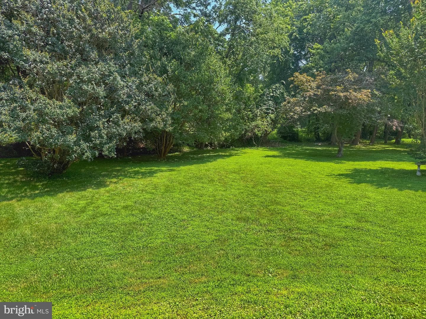 225 Windridge Acres Court photo 22