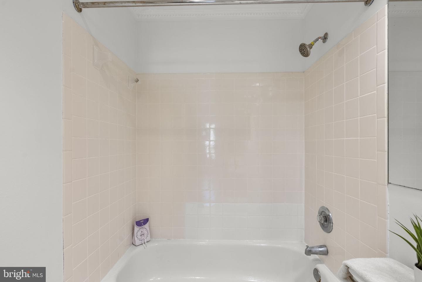 13708 Modrad Way #7b-33 photo 16