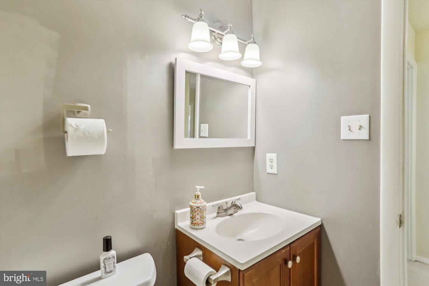 8420 Tea Rose Drive photo 39