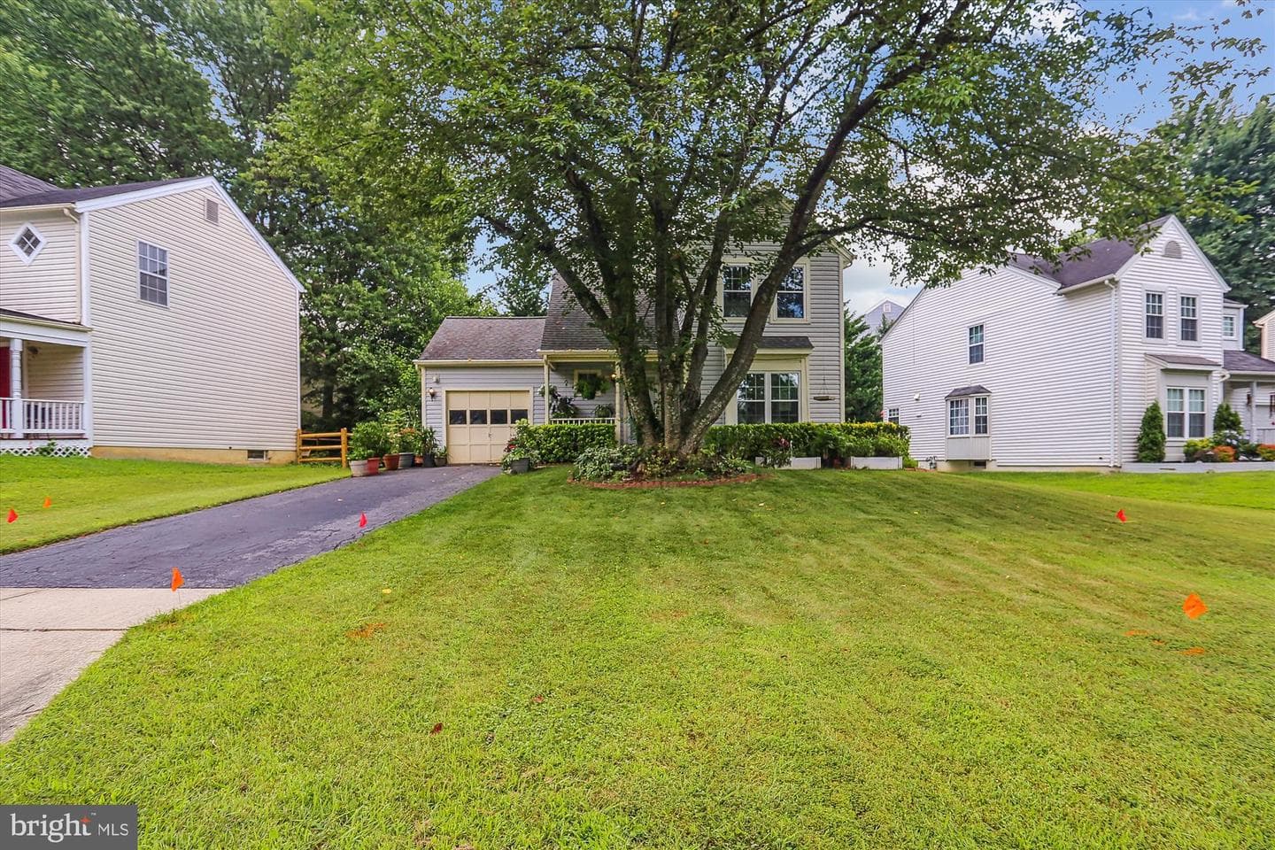 8420 Tea Rose Drive photo 54