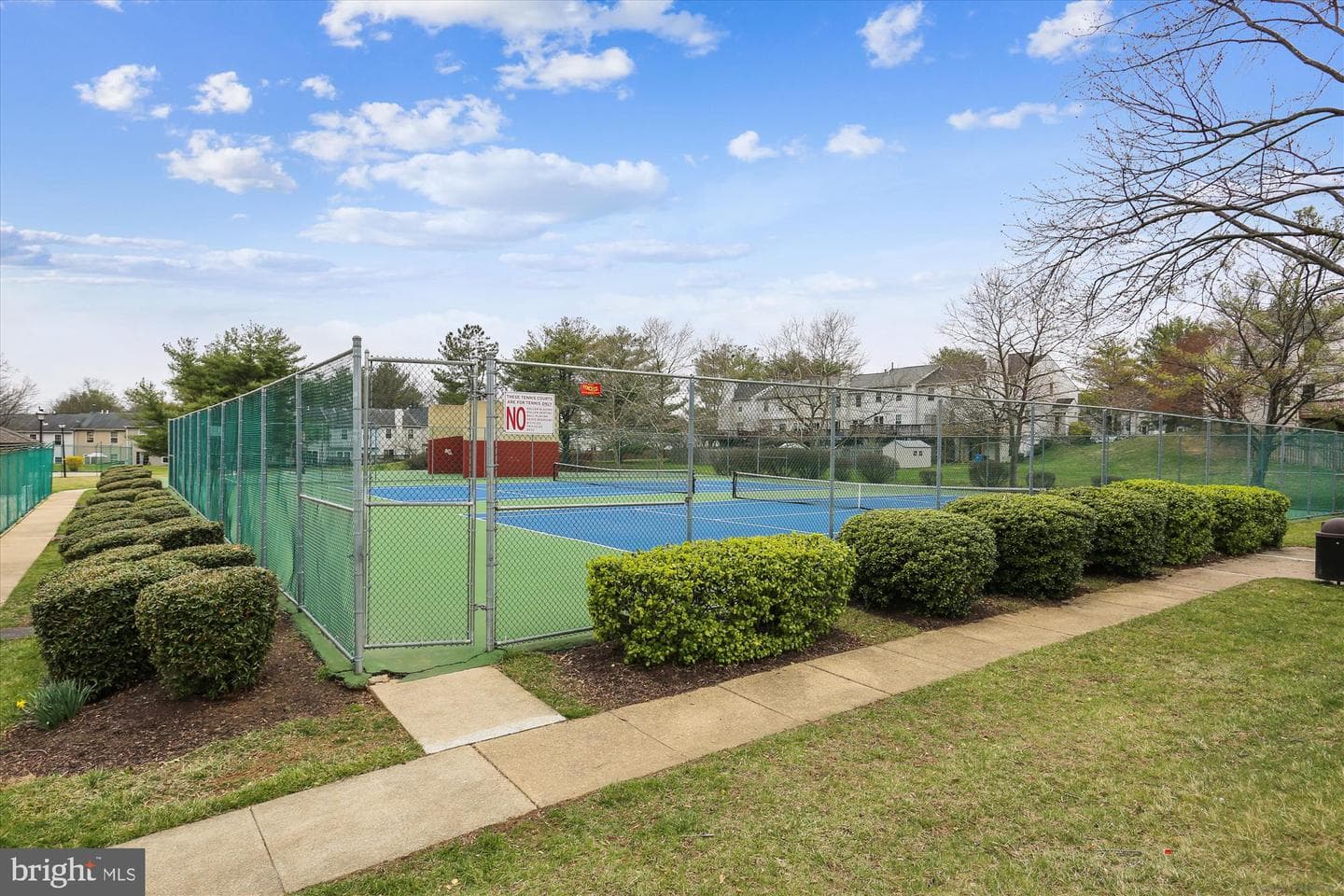 8420 Tea Rose Drive photo 59