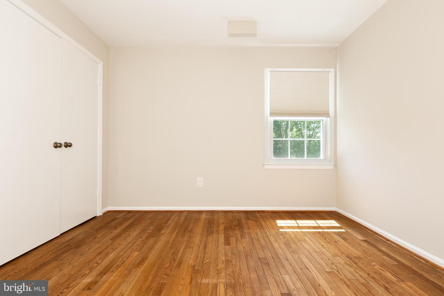11217 Hawhill End photo 13