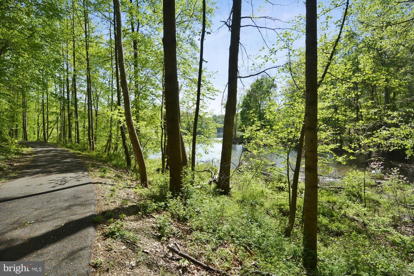 13122 Shadyside Lane #9-150 photo 36