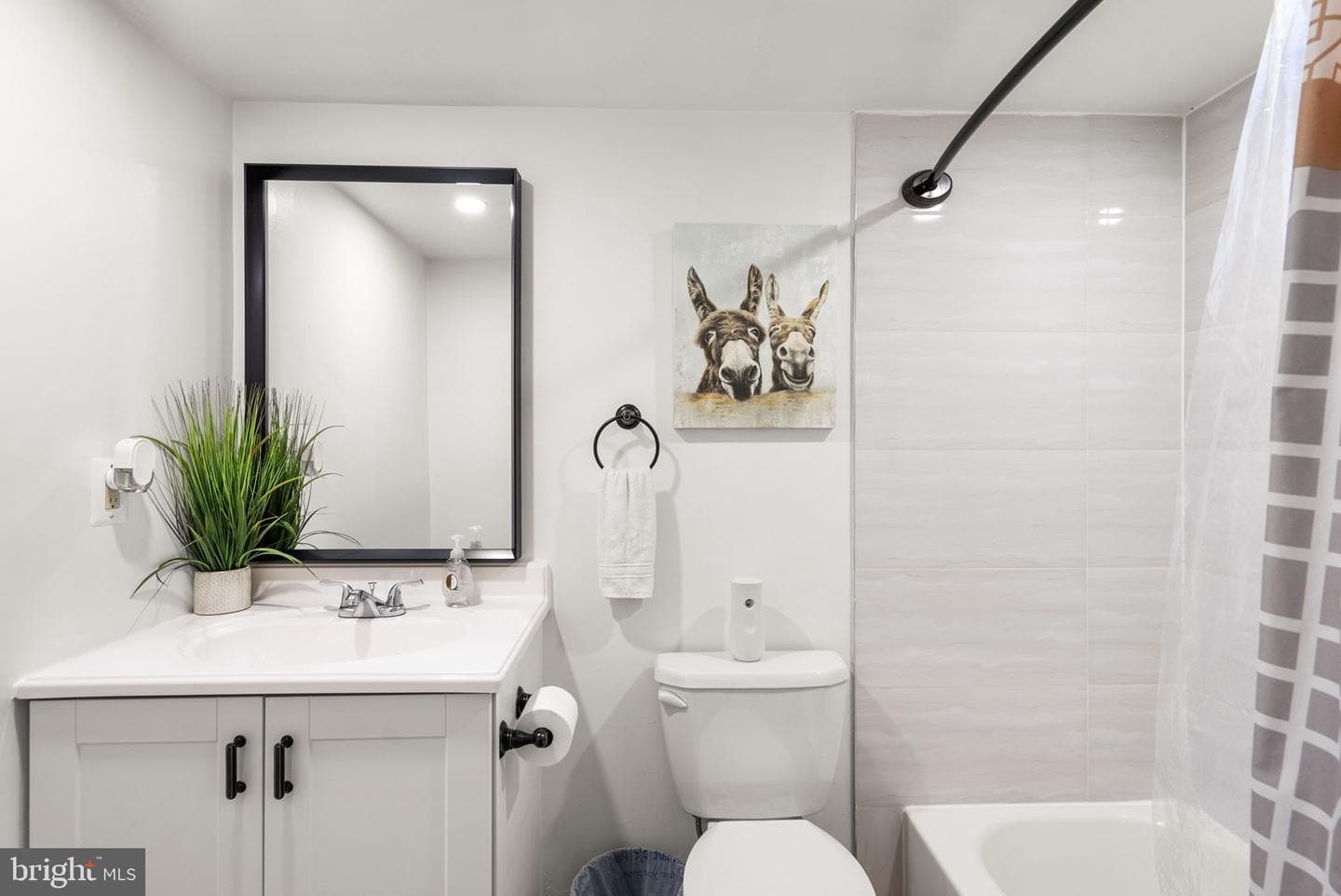 438 Girard Street #256 photo 17