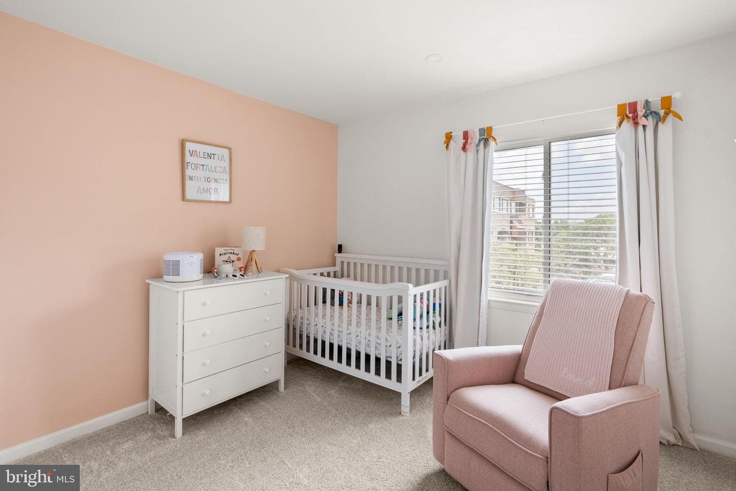 438 Girard Street #256 photo 18