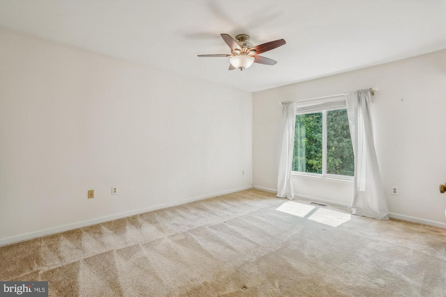 17402 Blossom View Drive photo 18