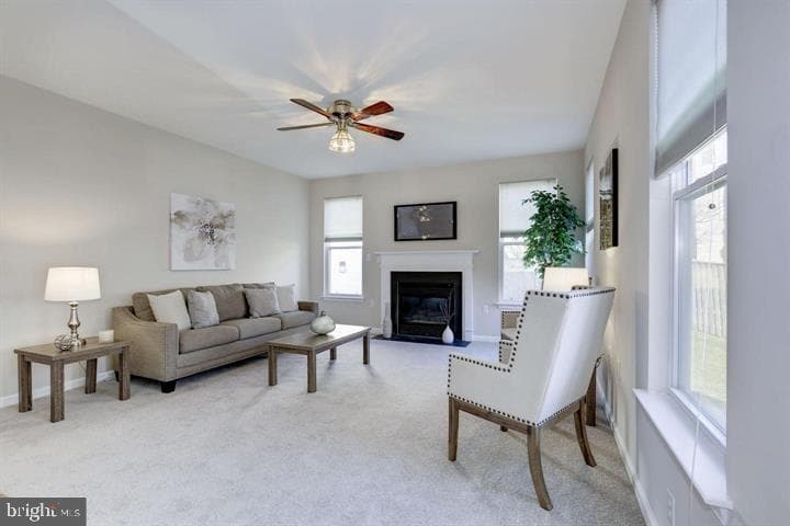 142 Apple Blossom Way photo 11
