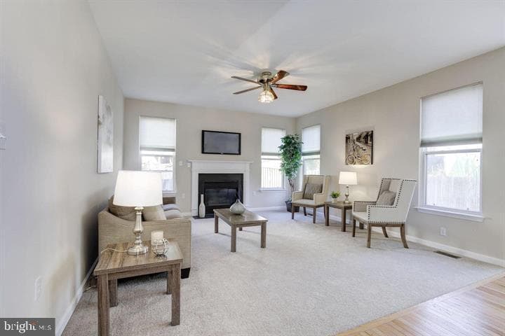 142 Apple Blossom Way photo 12