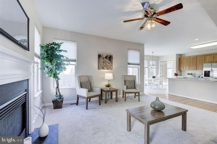 142 Apple Blossom Way photo 27