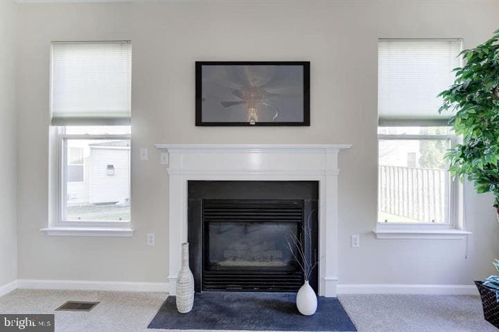 142 Apple Blossom Way photo 28
