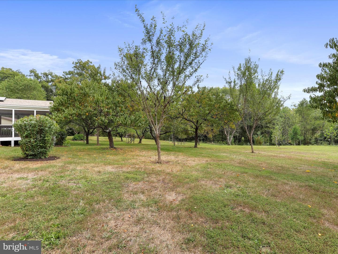 22119 Dickerson School Road photo 37