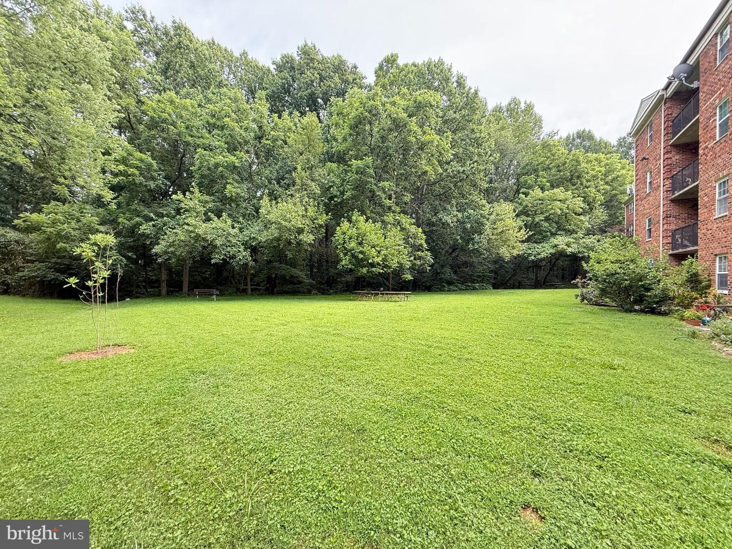 878 College Parkway #103 photo 30