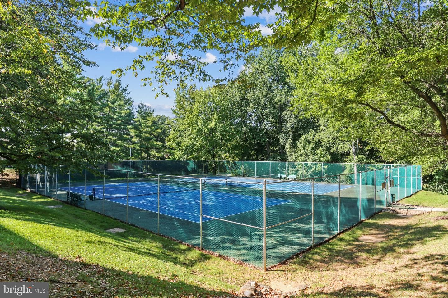 5811 Edson Lane #204 photo 34