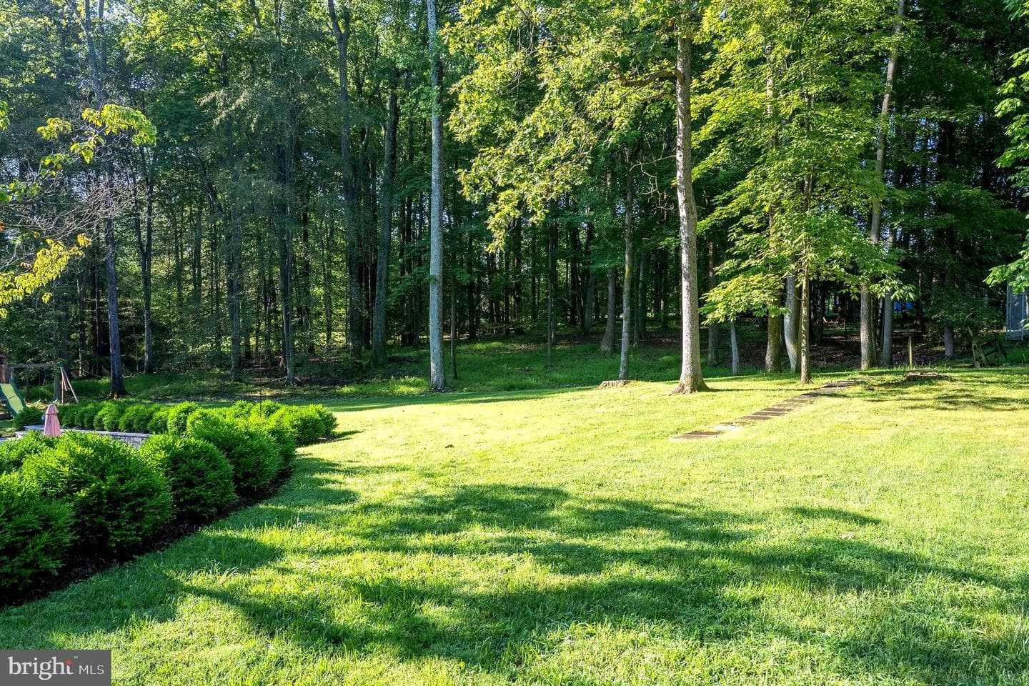 10202 Bentcross Drive photo 119