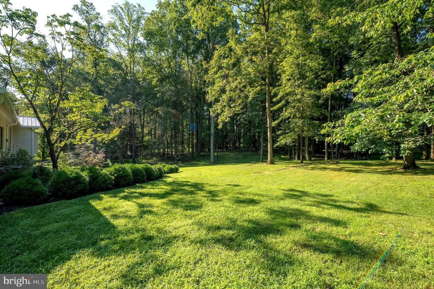 10202 Bentcross Drive photo 128