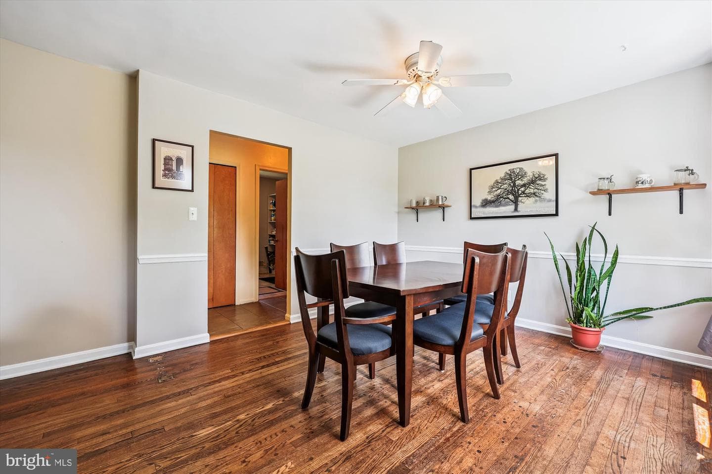 17 Diller Court photo 10