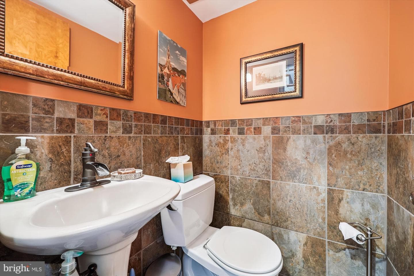 17 Diller Court photo 30
