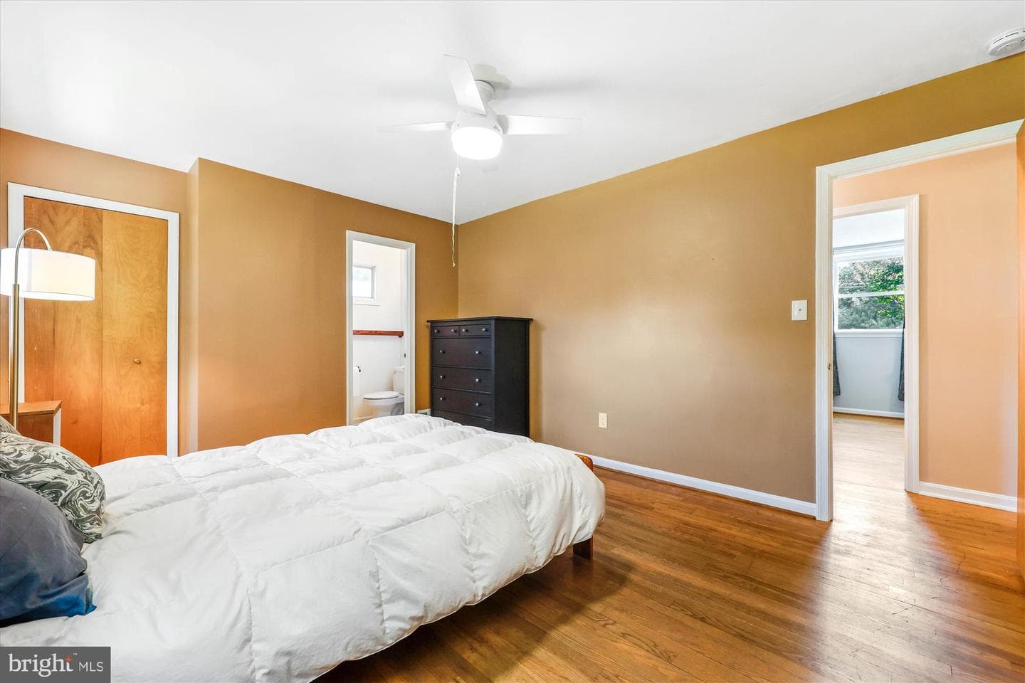 17 Diller Court photo 34