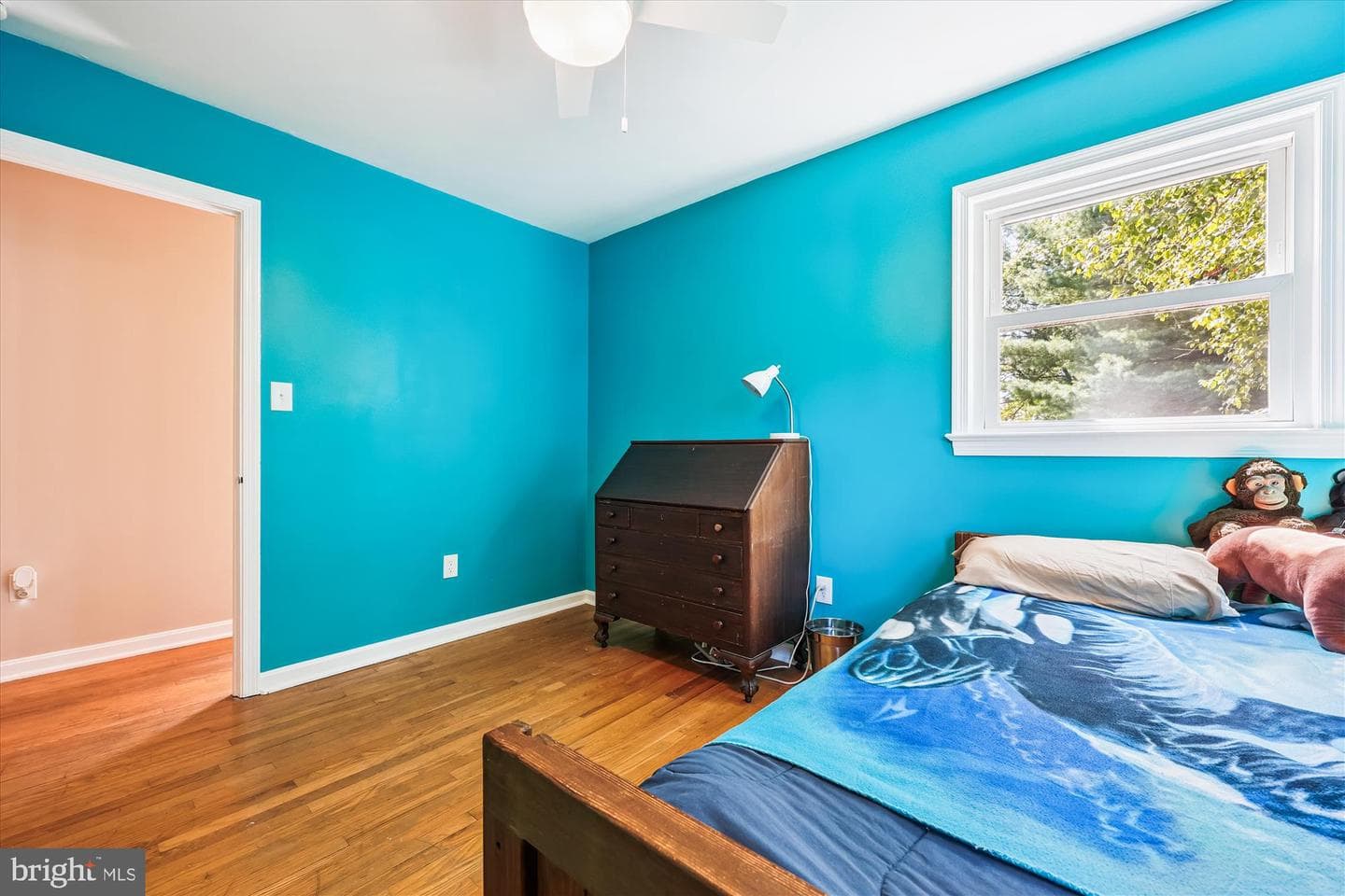 17 Diller Court photo 40