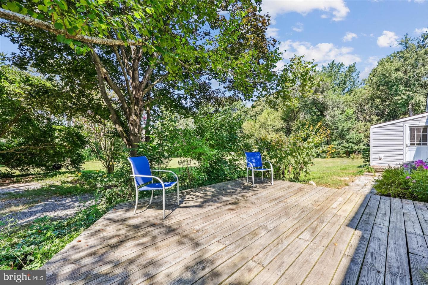 17 Diller Court photo 44