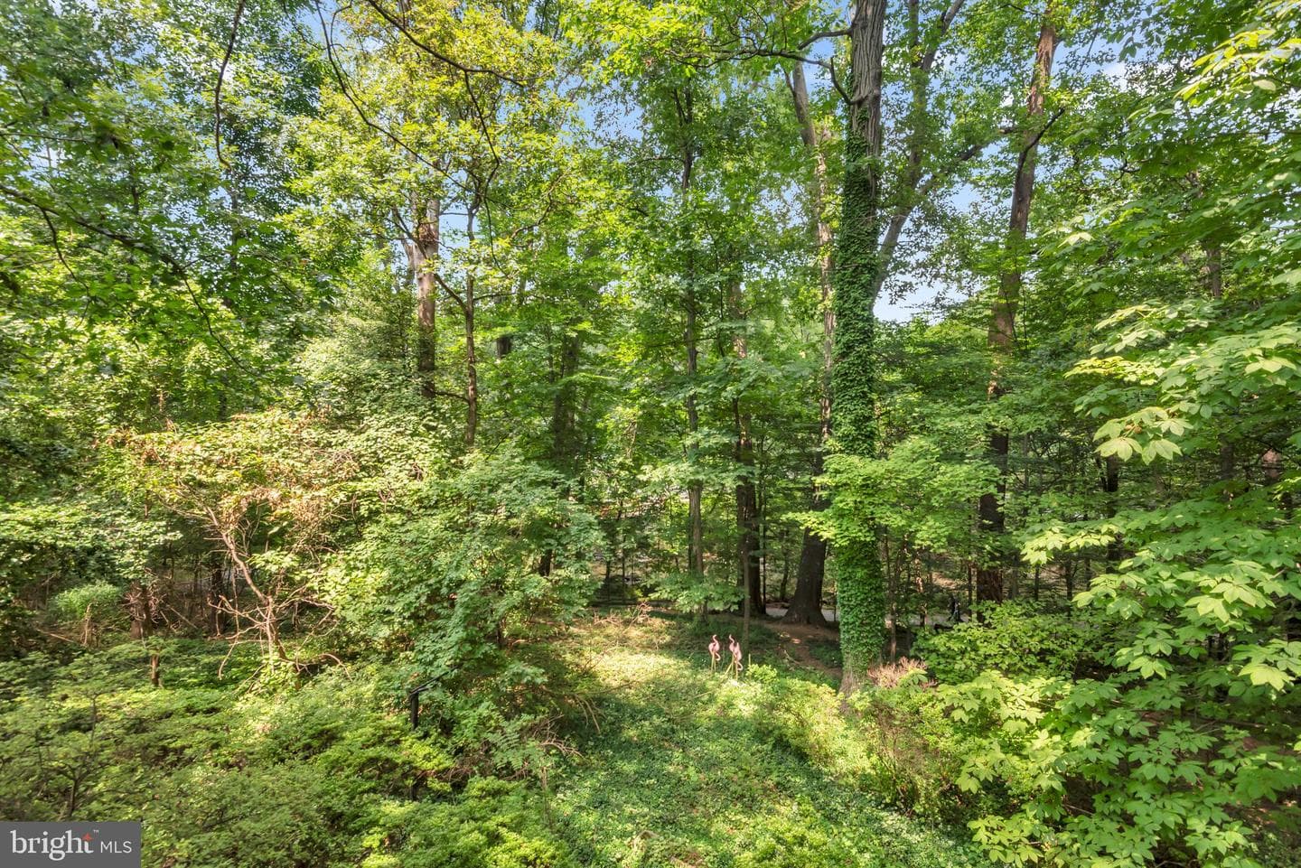 110 Devon Court photo 46