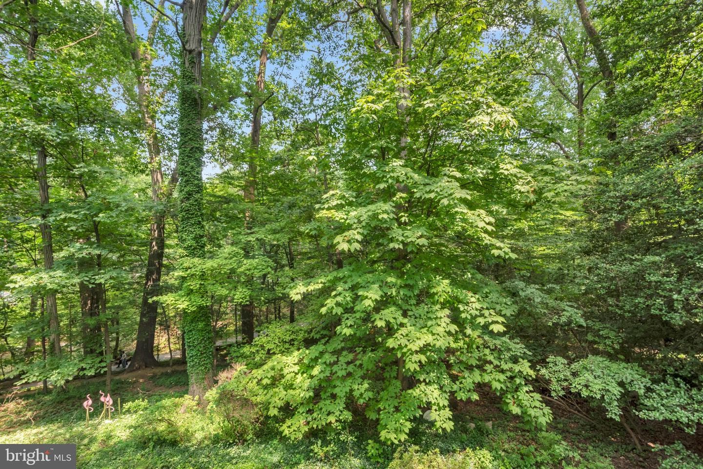 110 Devon Court photo 47
