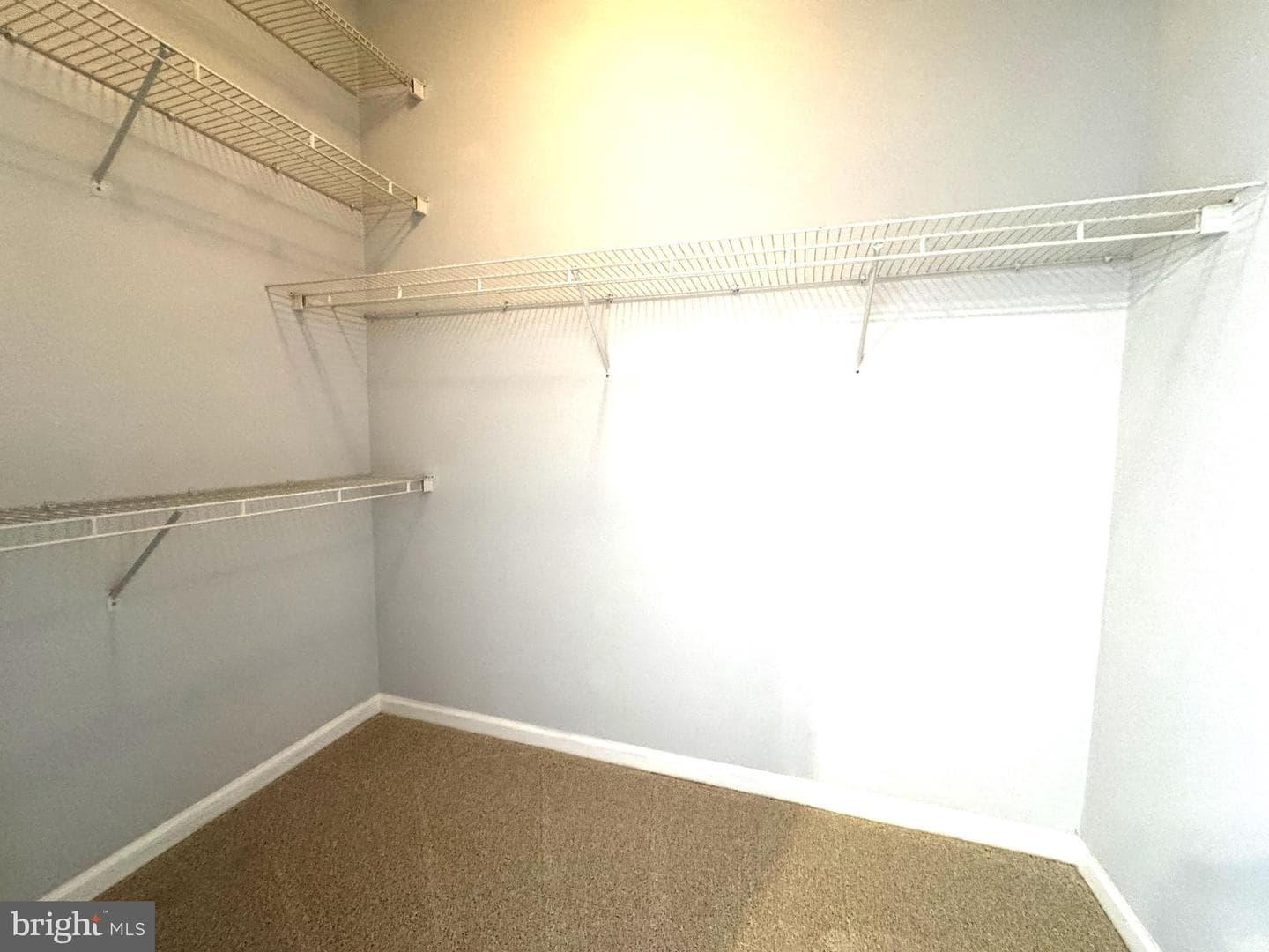 13619 Palmetto Circle photo 26
