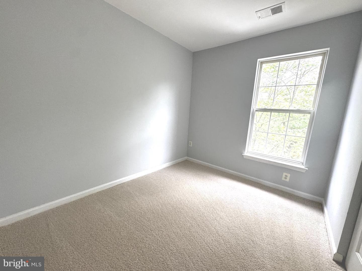 13619 Palmetto Circle photo 28