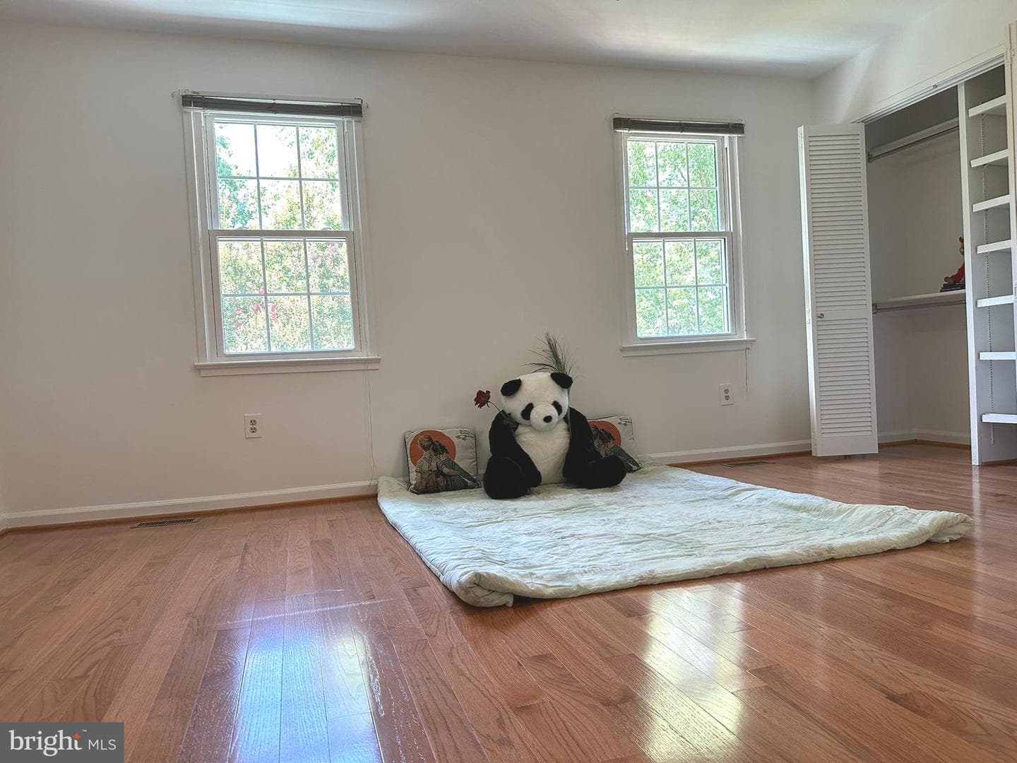 10314 Nolan Drive photo 12