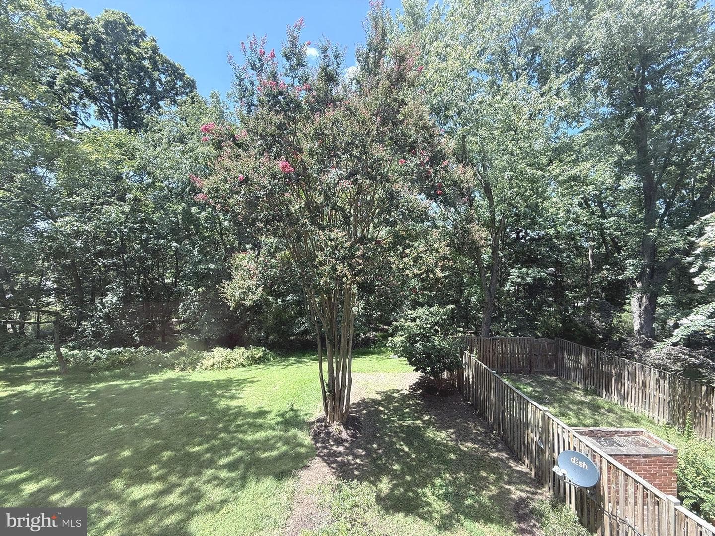 10314 Nolan Drive photo 33