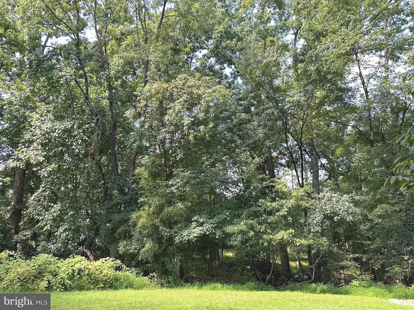 10314 Nolan Drive photo 34
